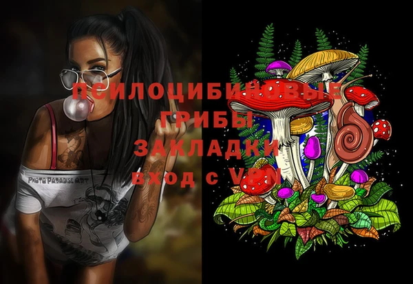 эйфоретик Алексин
