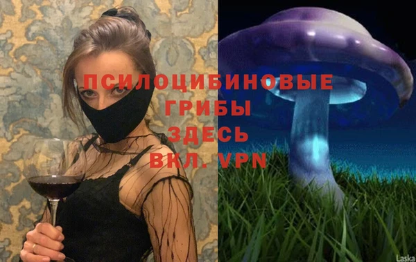хмурый Алексеевка