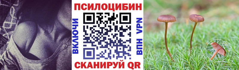 Псилоцибиновые грибы прущие грибы  цены   Пермь 